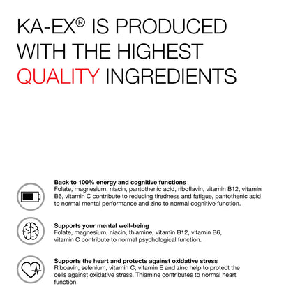 KA-EX ريتشارج+