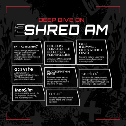 2ShredPMLISTING11