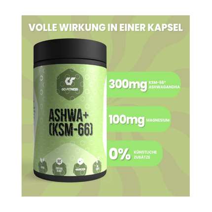 Ashwa_Infografiken2