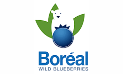 BlueBoreal®